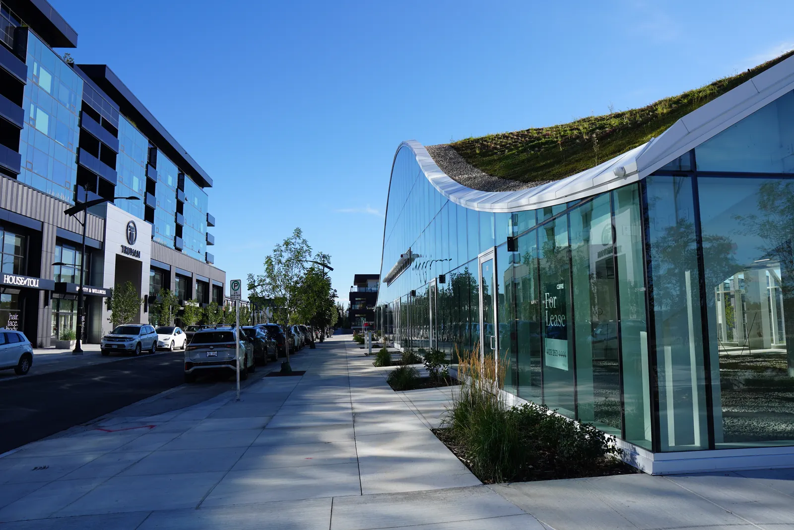 green-roof pavilion down a pedestrian street